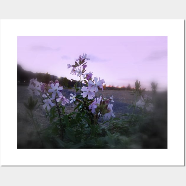 wildflowers & Columbia River sunset Wall Art by DlmtleArt